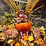 baby, pumpkin, fall_leaves, autumn, flowers, yellow_flowers, dried_grass, baby_clothing, headband, outdoor, fall_decor, baby_feet, nature, seasonal, cute, portrait, child, baby_face, thanksgiving, harvest
