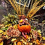 Sunniva joined the competition — help win amazing prizes! baby, pumpkin, autumn, fall_leaves, flowers, sunflowers, headband, outdoor, nature, child, seasonal, cute, orange, brown, plant, decoration, garden, leaf_litter, harvest, foot