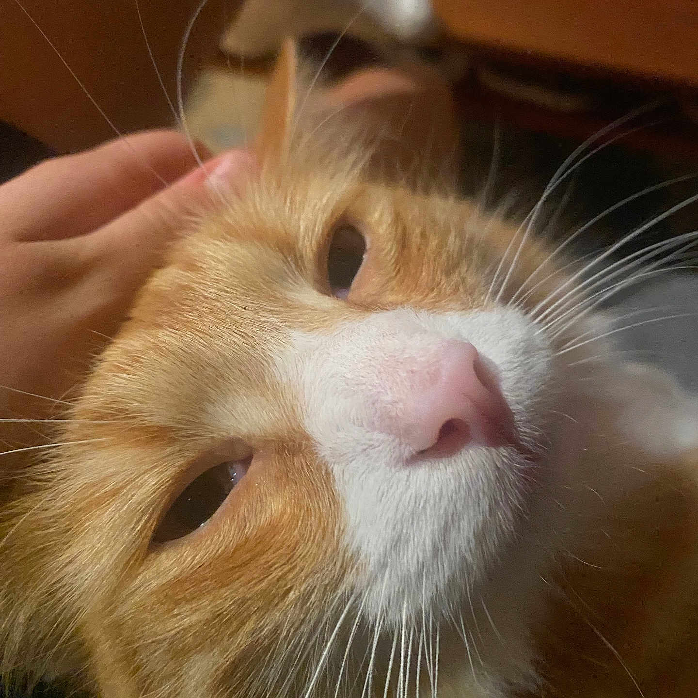 William