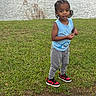 child, toddler, grass, water, lake, duck, sneakers, blue_shirt, gray_pants, outdoor, nature, person, standing, young_child, animal, bird, casual_clothing, cute, daytime, park