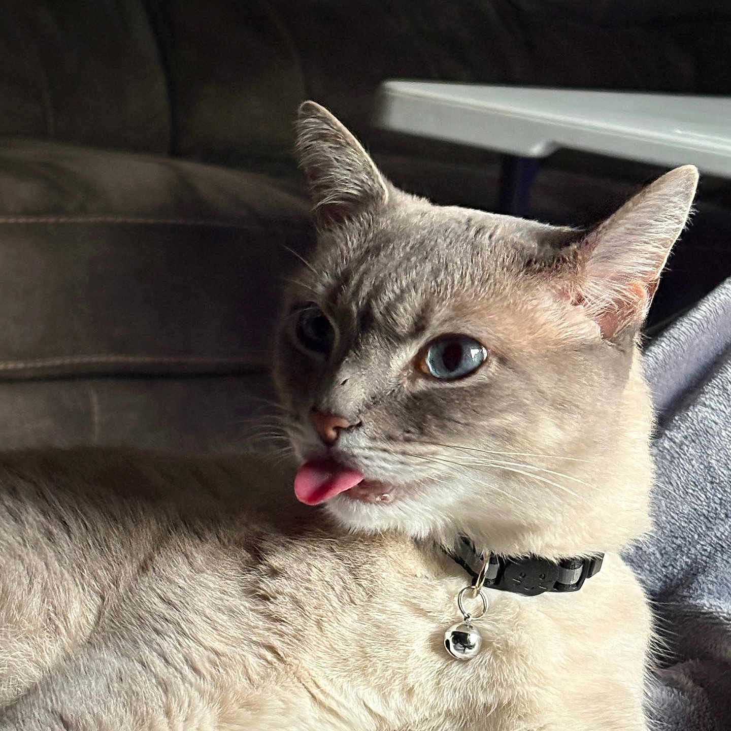 Theo