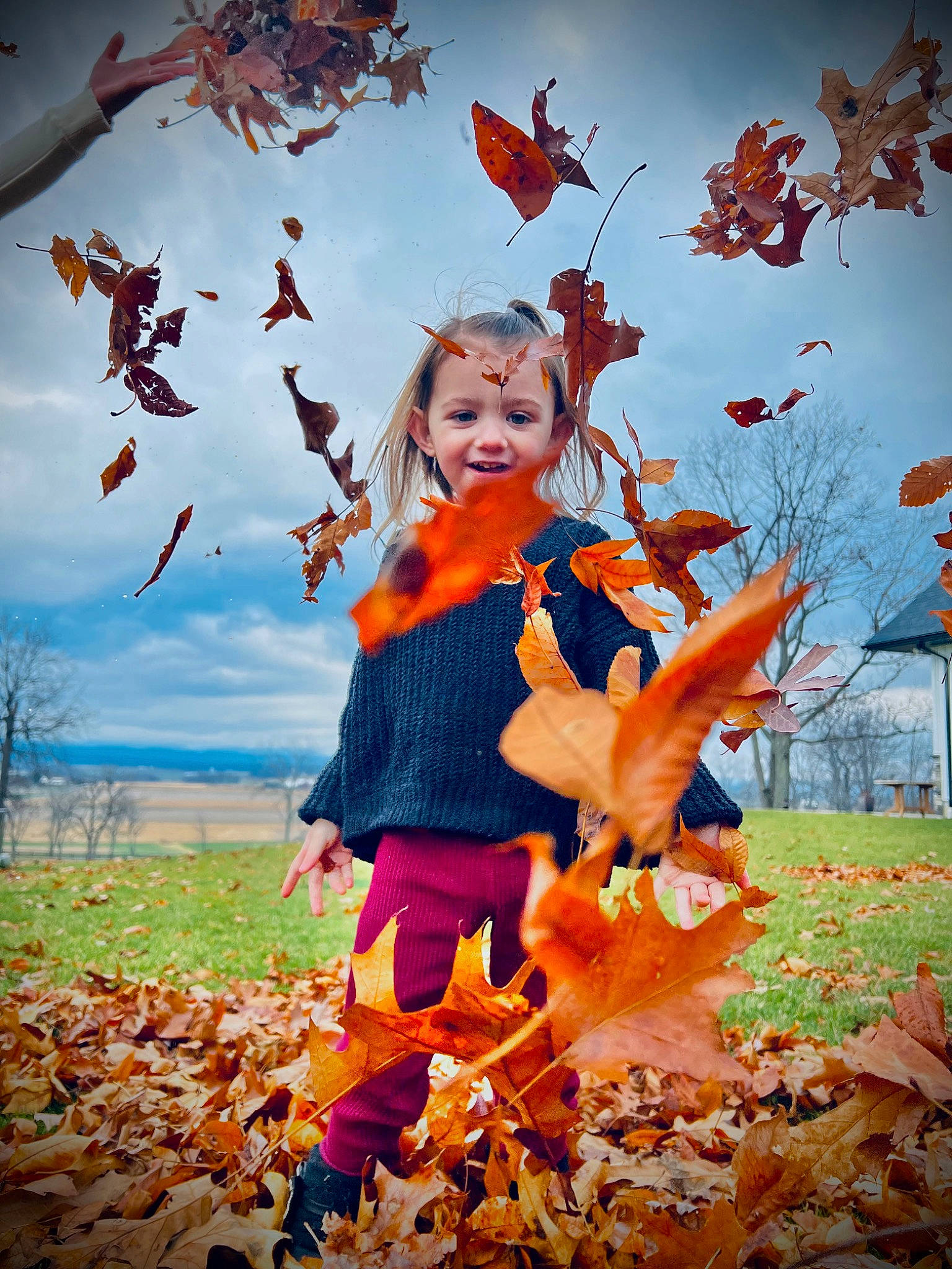 Oakley joined the competition — help win amazing prizes! adaptation, art, botany, branch, deciduous, doll, fawn, happy, joy, leisure, nature, orange, organism, people_in_nature, person, plant, red, sky, toy, tree