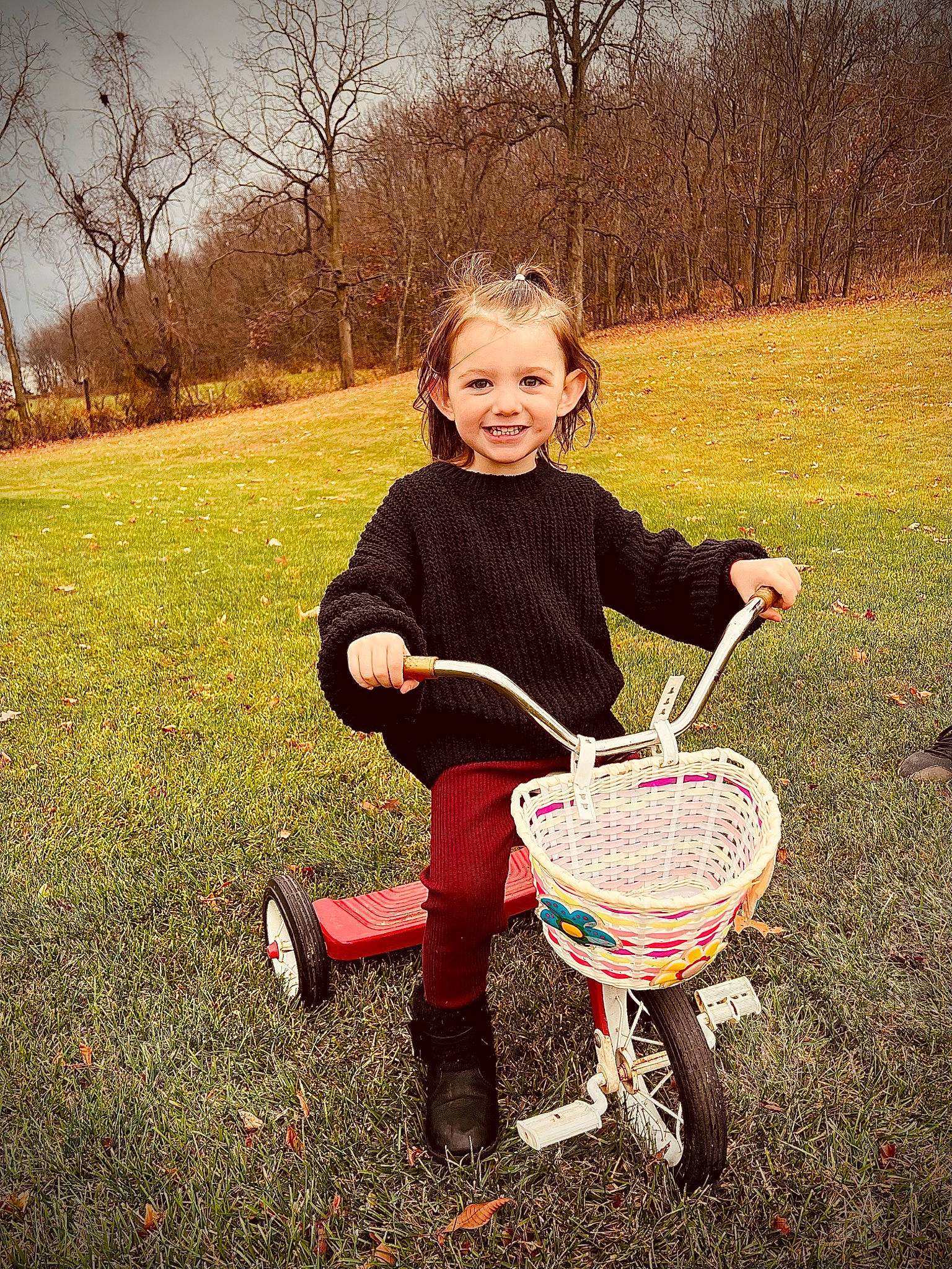 Oakley is registered to the contest to win money with this photo: basket, bicycle_accessory, bicycle_tire, bicycle_wheel, child, fun, grass, happy, joy, leisure, pattern, people_in_nature, person, plant, sitting, sky, smile, tire, toddler, tree