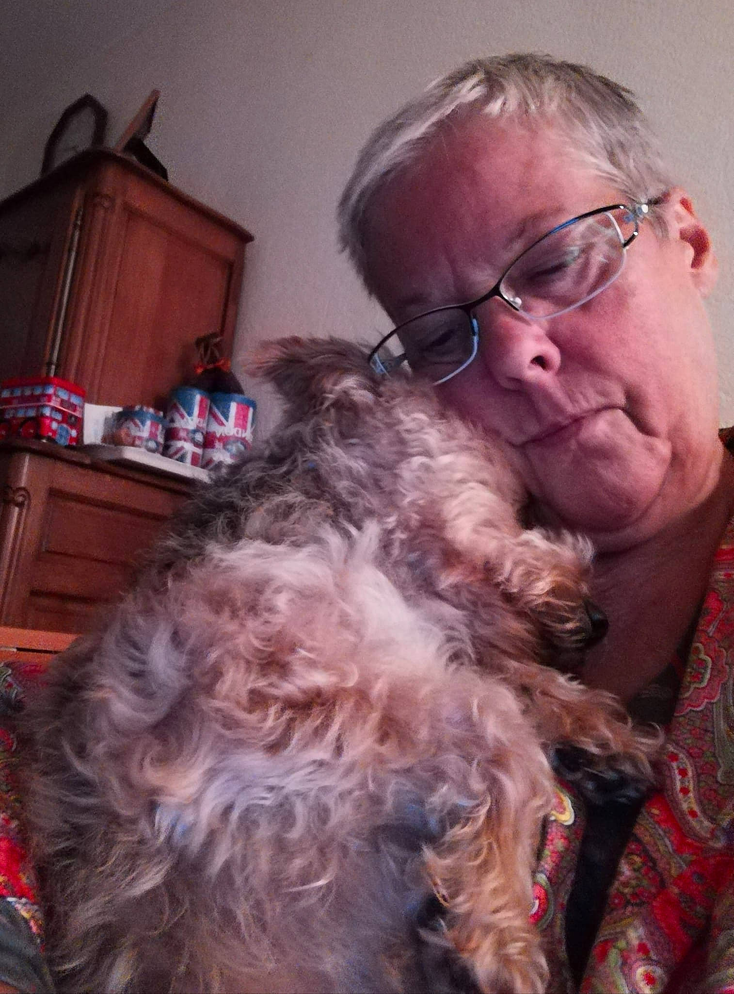 Ilou a rejoint le concours — aidez-le/la à gagner de superbes lots ! carnivoran, dog, dog_breed_group, dog_like_mammal, ear, facial_hair, fur, glasses, hair, mammal, nose, person, puppy, schnoodle, snout, vertebrate, vision_care