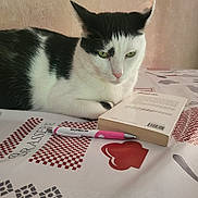 Minouss a rejoint le concours — aidez-le/la à gagner de superbes lots ! animal, background_wall, black_and_white, book, cat, closeup, fur, green_eyes, home, indoor, pen, pet, pink_nose, quiet, reading_material, relaxed, resting, stationery, still_life, tablecloth