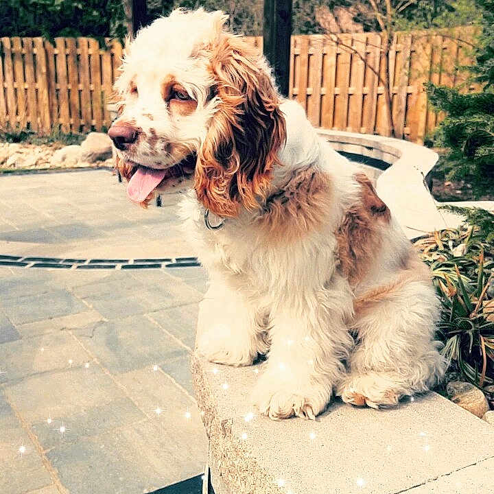 Charlie