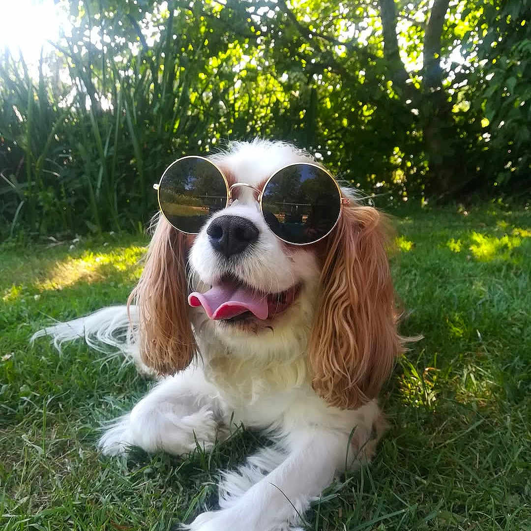 Lennon