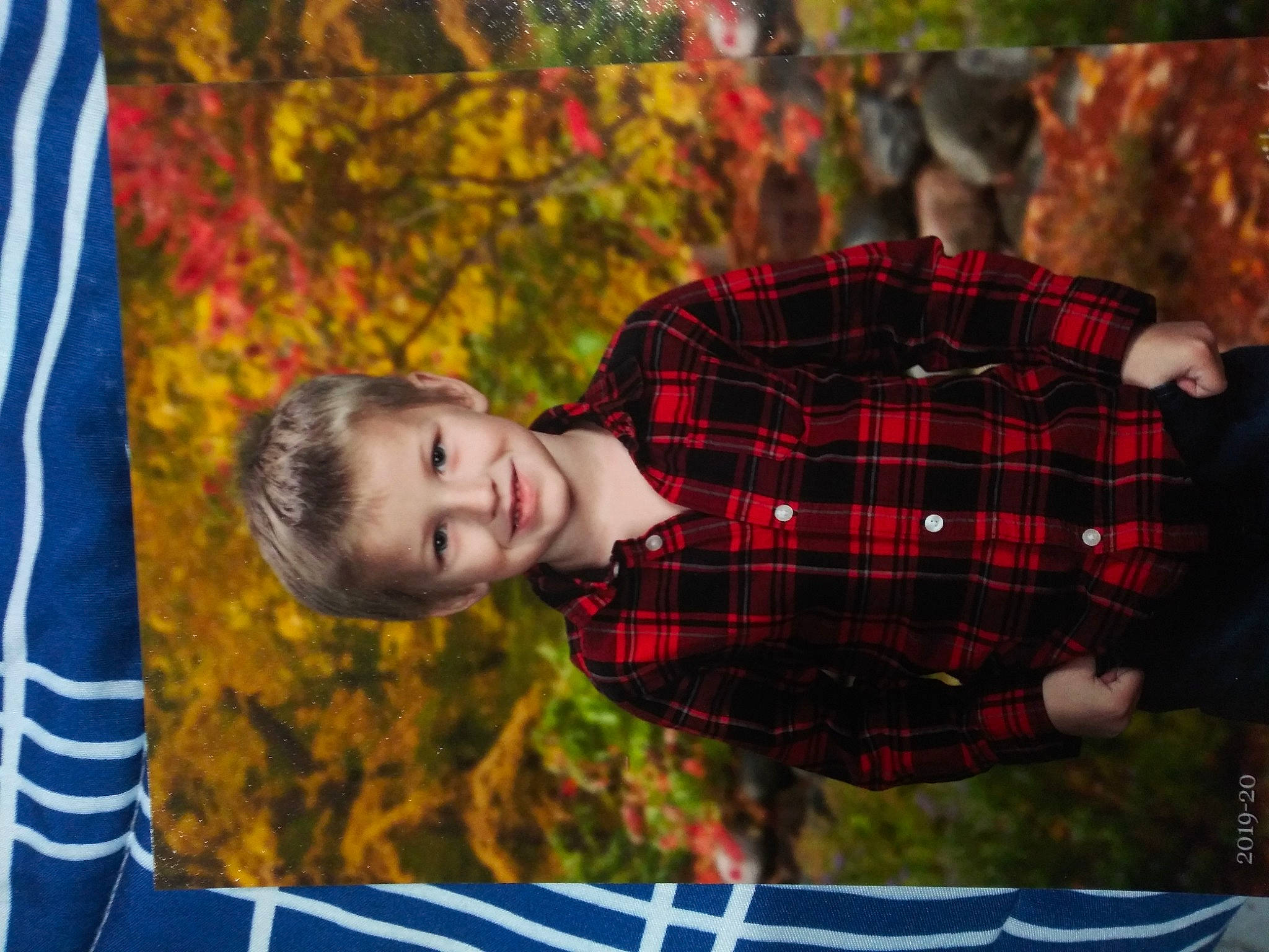 Bentley is registered to the contest to win money with this photo: autumn, child, design, joy, leaf, pattern, person, photography, plaid, portrait, tartan, textile, toddler, tree