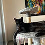 black_cat, cat_tree, indoor, living_room, modern, furniture, relaxed, pet, animal, cozy, paw, sofa, abstract_painting, colorful, leisure, feline, domestic_cat, resting, soft_texture, window