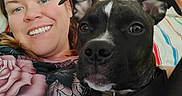 Harmony is registered to the contest to win money with this photo: accessories, animal, bulldog, canine, child, cushion, dog, face, female, girl, head, homedecor, jewelry, necklace, person, pet, photography, pitbull, portrait, puppy