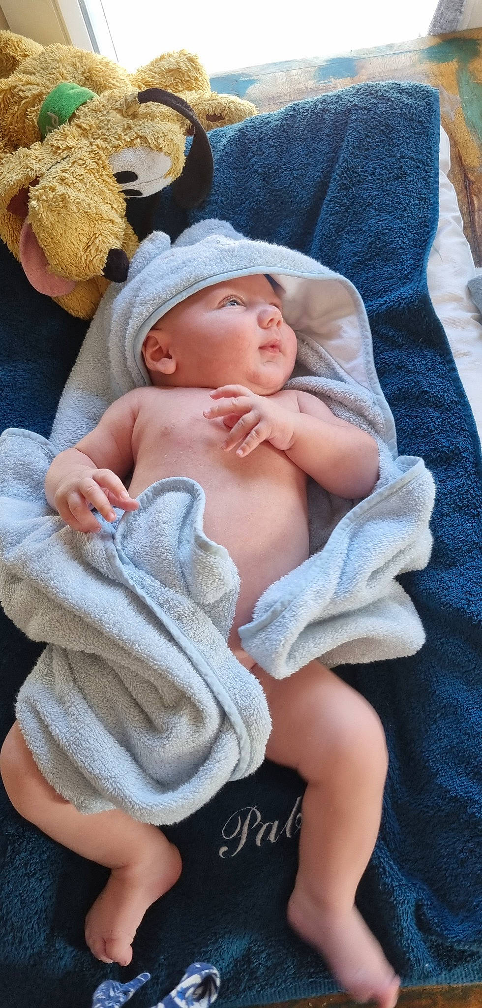 Pablo participe au concours pour gagner de l'argent avec cette photo : abdomen, baby, baby_products, baby_sleeping, baby_toddler_clothing, blue, cap, cheek, chest, child, comfort, headgear, headwear, linens, person, pink, product, skin, sun_hat, textile