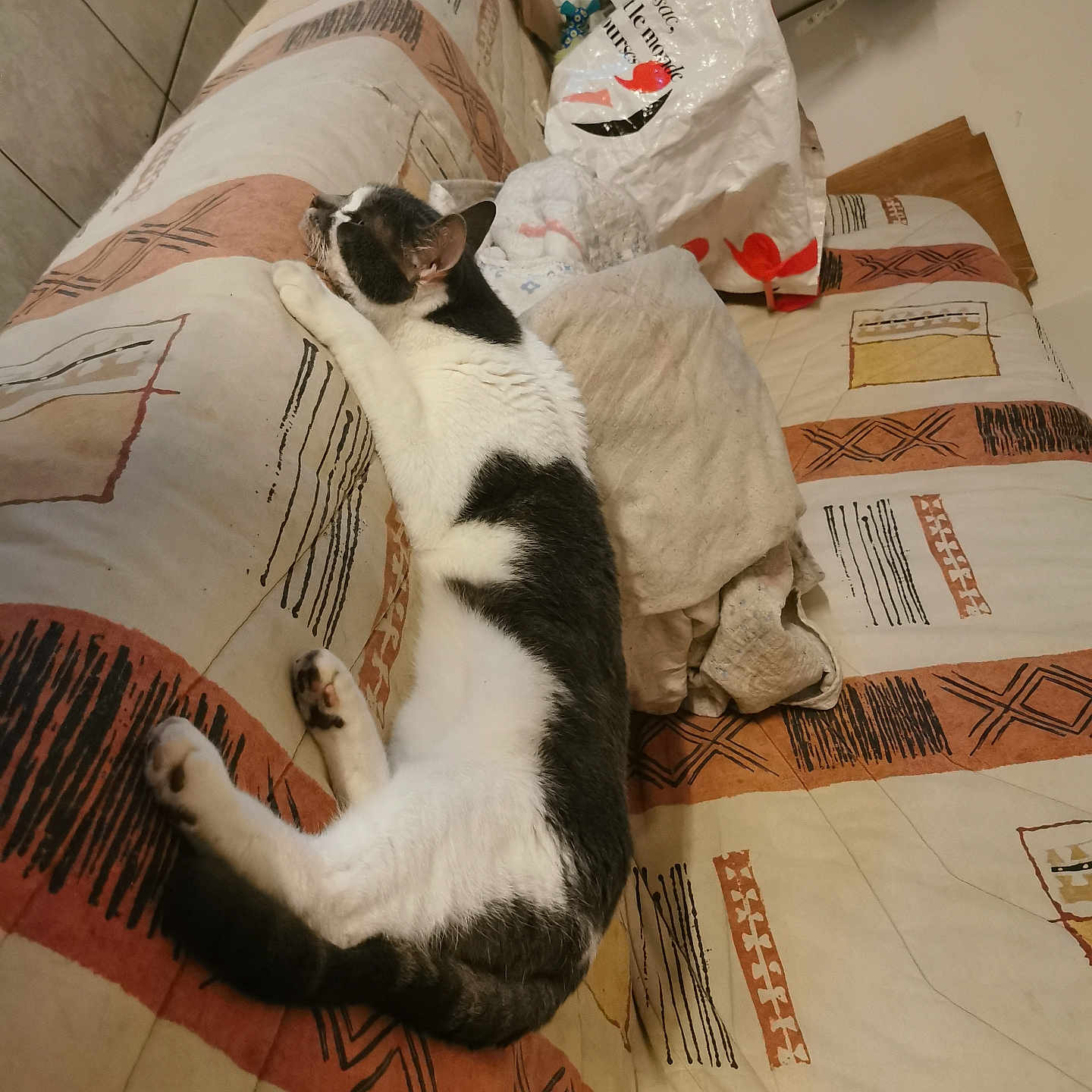 Fripouille a rejoint le concours — aidez-le/la à gagner de superbes lots ! accessories, animal, architecture, bag, bed, blanket, building, cat, couch, furniture, handbag, hardwood, homedecor, indoors, linen, livingroom, manx, pet, plywood, wood