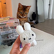 Rumi joined the competition — help win amazing prizes! cat, tabby_cat, plush_toy, hand, needle, indoor, mirror, lamp, floor, door, container, storage_box, curious, pet, animal, furniture, white_bunny, sewing, needle_and_thread, background_cat
