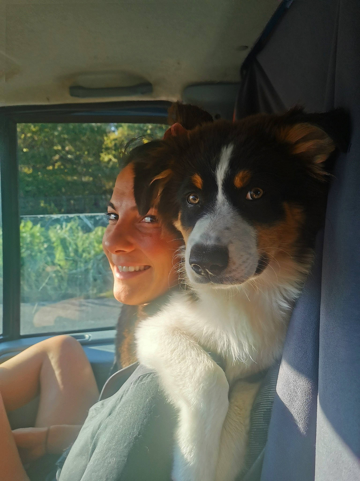 Nouka a rejoint le concours — aidez-le/la à gagner de superbes lots ! canidae, carnivore, comfort, companion_dog, dog, dog_breed, fun, fur, happy, herding_dog, plant, sitting, smile, snout, sporting_group, tree, whiskers, window, working_animal, working_dog