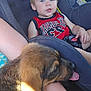 toddler, child, car_seat, puppy, dog, animal, infant, red_jersey, seatbelt, car_interior, cute, pet, young_child, resting, tongue_out, human_arm, tattoo, sunlight, portrait, travel