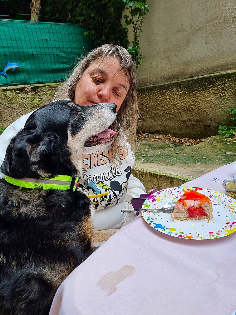 Bay Bay participe au concours pour gagner de l'argent avec cette photo : carnivore, collar, companion_dog, dishware, dog, dog_breed, dog_collar, fawn, food, grass, green, happy, plant, plate, platter, smile, snout, sporting_group, table, tableware