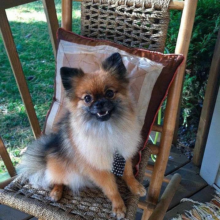Max is registered to the contest to win money with this photo:
