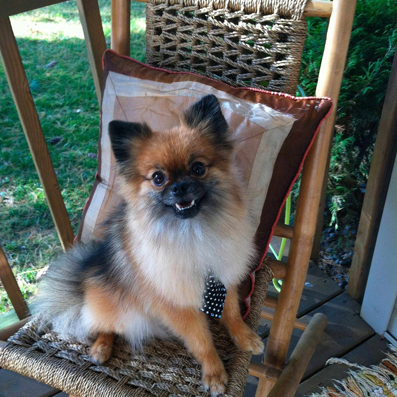 Max