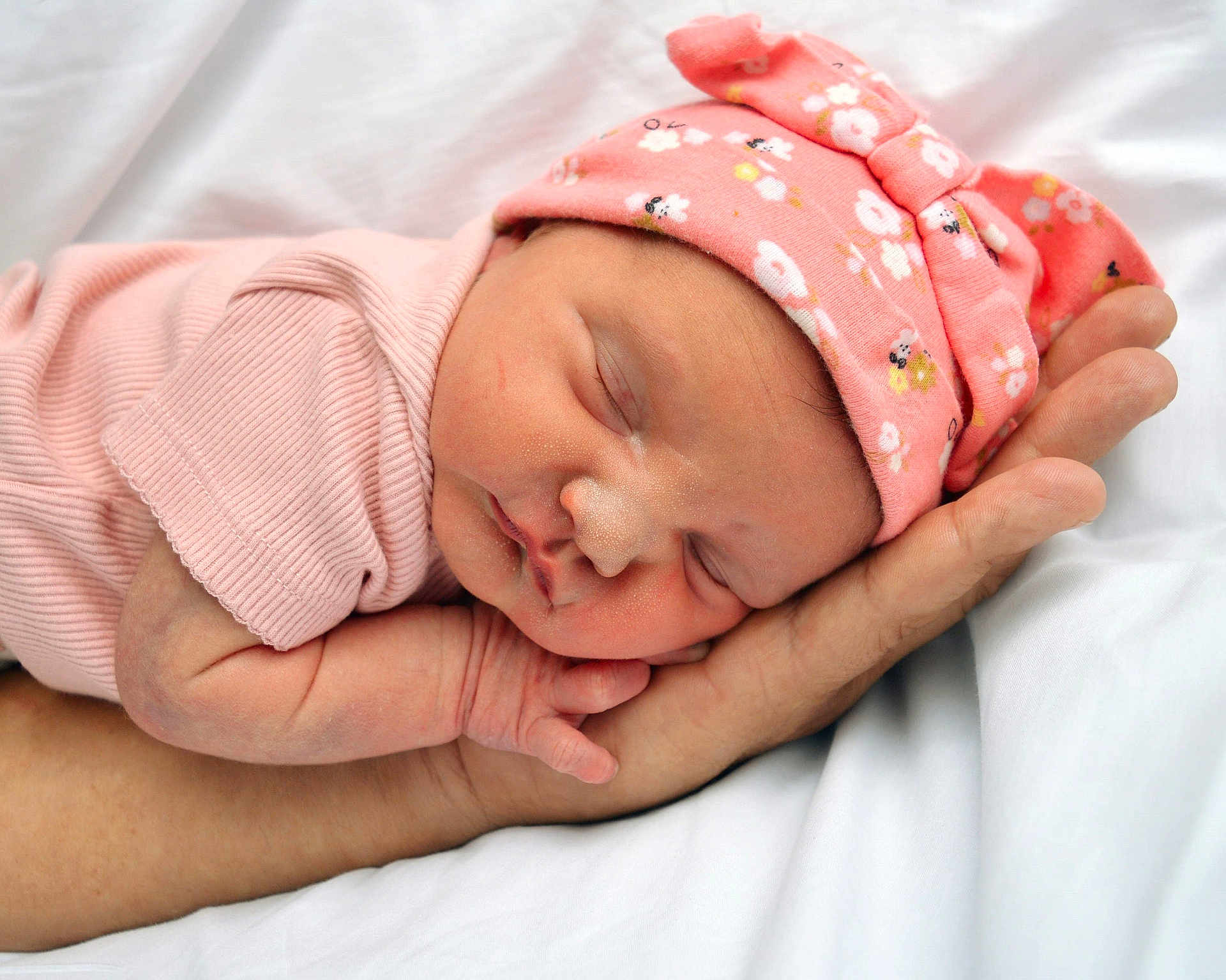 Magdalen is registered to the contest to win money with this photo: baby, baby_sleeping, care, child, closeup, cute, hand, hat, infant, newborn, newborn_hat, peaceful, person, pink_clothing, portrait, rest, skin, sleeping, soft, tender