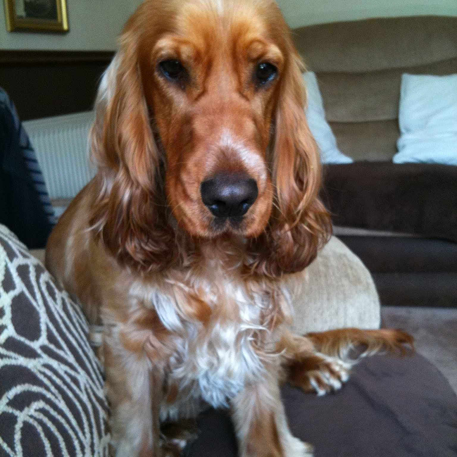 Jess is registered to the contest to win money with this photo: