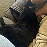 black_cat, blanket, carpet, cat, close_up, couch, cozy, fur, home, human_leg, indoor, living_room, lounging, nap, paw, pet, relaxation, sleeping, upholstery, whiskers