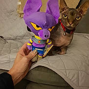 Lolimpe a rejoint le concours — aidez-le/la à gagner de superbes lots ! carnivoran, dog_like_mammal, purple, snout