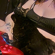 Bean is registered to the contest to win money with this photo: arm, black_cat, black_top, casual, cat, close_up, comfort, electronics, gaming_controller, home, indoor, leisure, looking_up, lounge, person, pet, playing, relaxing, seated, tattoo