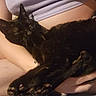 cat, black_cat, pet, sleeping, arms, person, indoor, cozy, relaxing, animal, feline, comfort, nap, human, skin, casual, closeup, cuddle, resting, warm