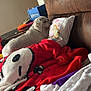 dog, white_dog, couch, pillow, blanket, red_blanket, white_blanket, butterfly_pillow, side_table, pet_brush, blue_organizer, indoor, resting, cozy, soft_furnishing, brown_couch, pet, home, relaxing, comfort