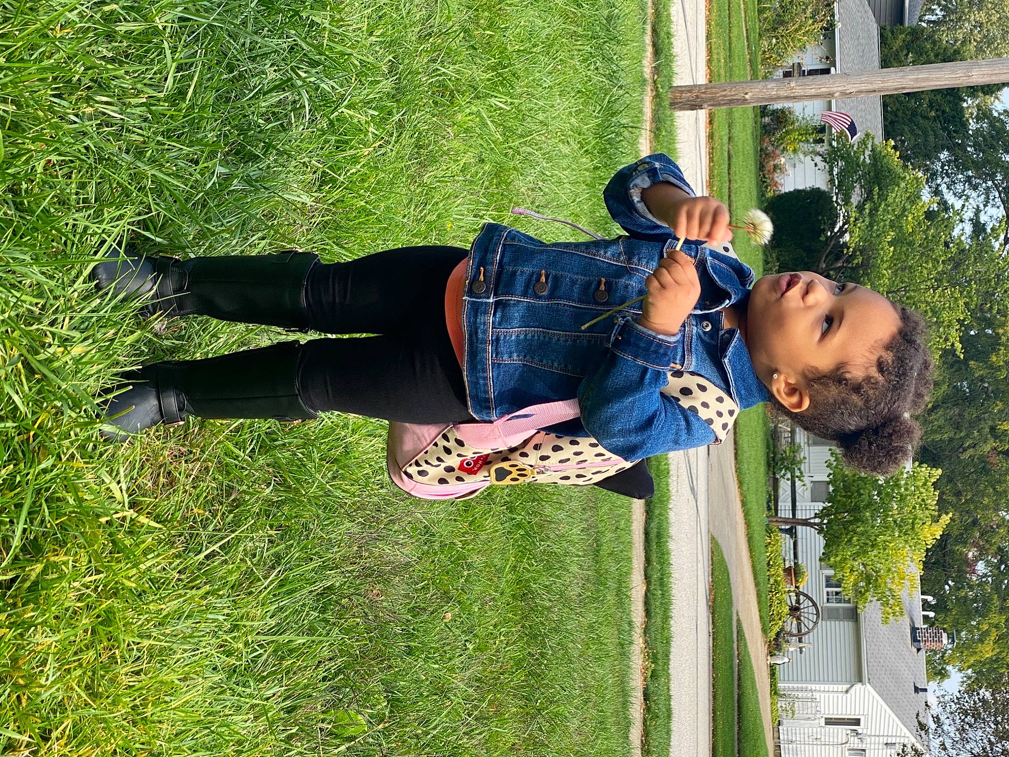 Aryanna joined the competition — help win amazing prizes! botany, child, fun, grass, green, happy, house, leisure, people_in_nature, person, plaid, plant, recreation, shadow, tartan, toddler, tree