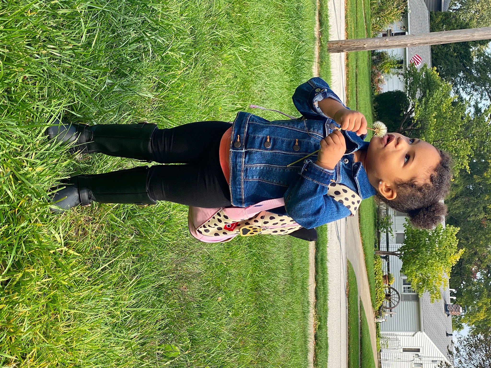 Aryanna joined the competition — help win amazing prizes! botany, child, fun, grass, happy, house, leisure, people_in_nature, person, plant, recreation, street_fashion, street_light, toddler, tree