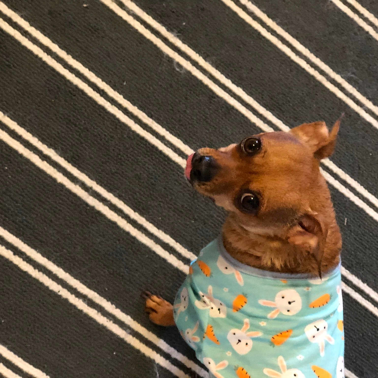 Puddinpop
