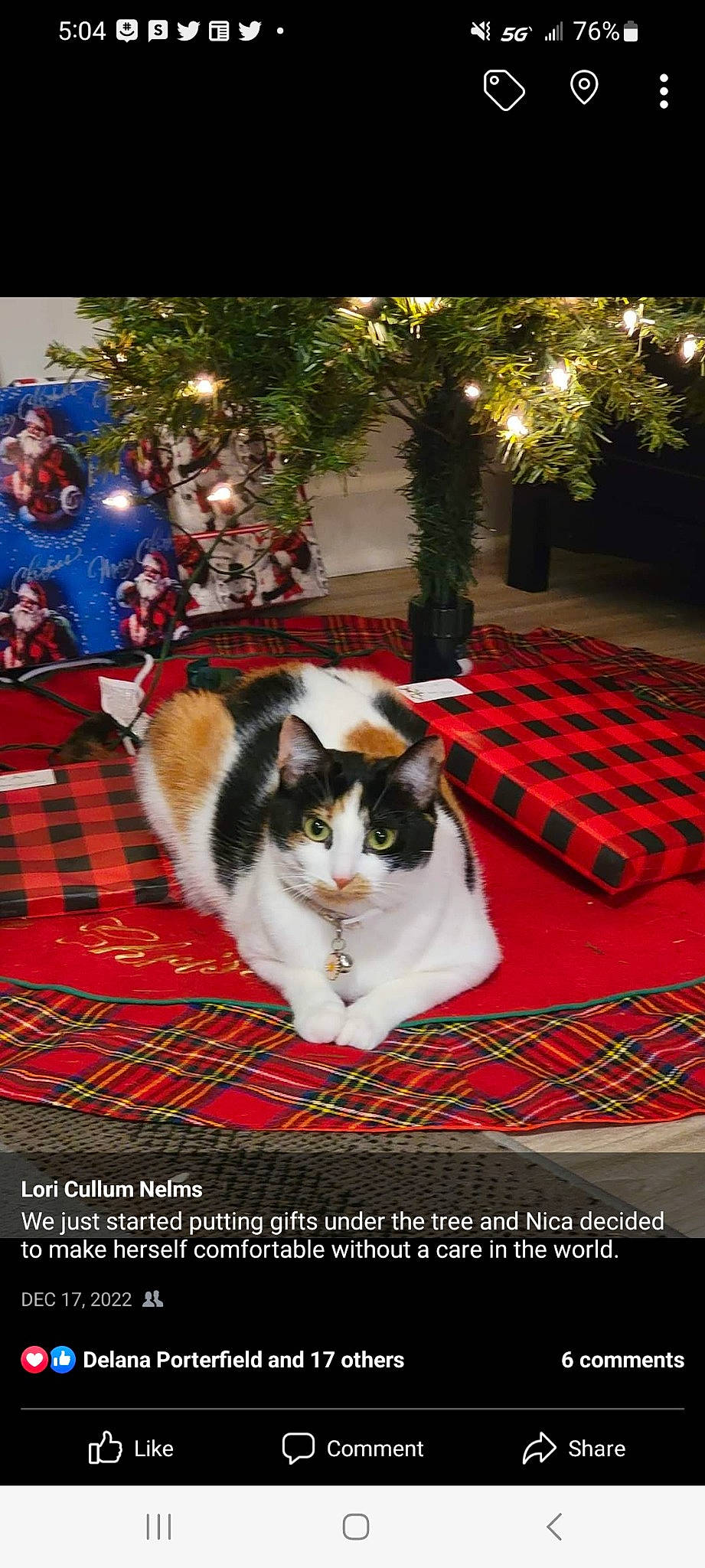 Nica joined the competition — help win amazing prizes! carnivore, cat, christmas, christmas_decoration, christmas_tree, conifer, decoration, domestic_short_haired_cat, event, felidae, fur, holiday, light, ornament, photo_caption, plant, small_to_medium_sized_cats, tail, tree, whiskers