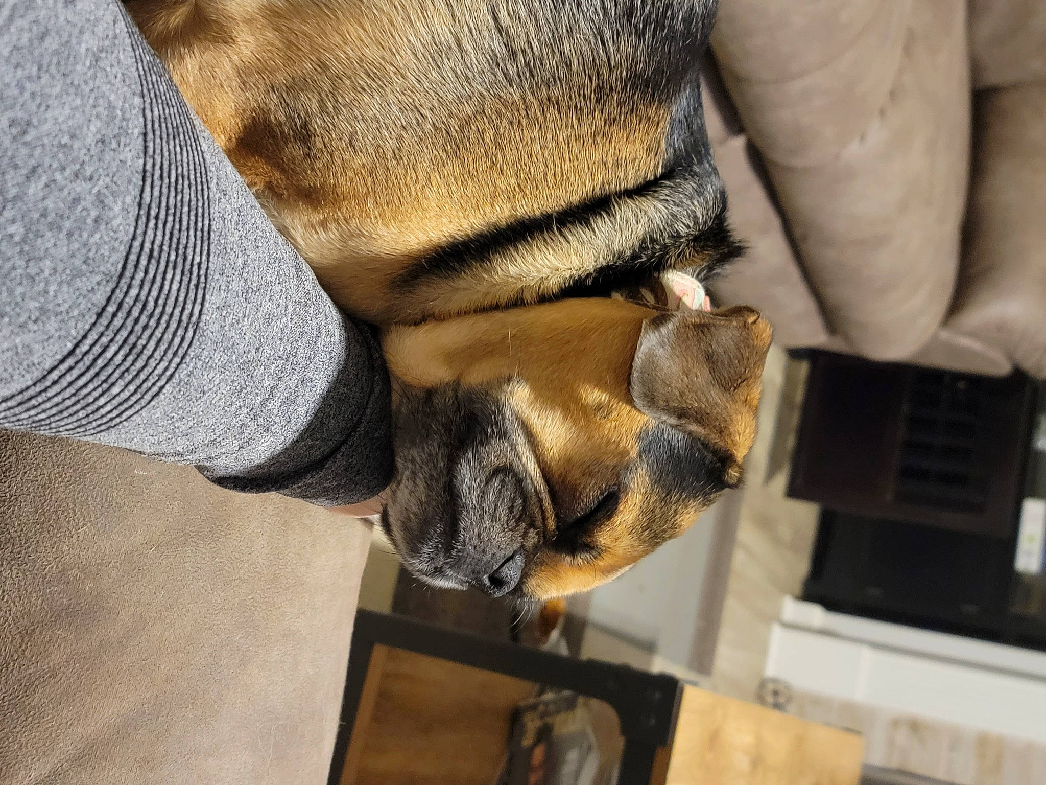 Pak joined the competition — help win amazing prizes! claw, comfort, computer_keyboard, denim, engineering, fawn, finger, fur, gesture, hand, human_leg, nail, safety_glove, sleeve, snout, terrestrial_animal, thumb, wood, wrinkle, wrist