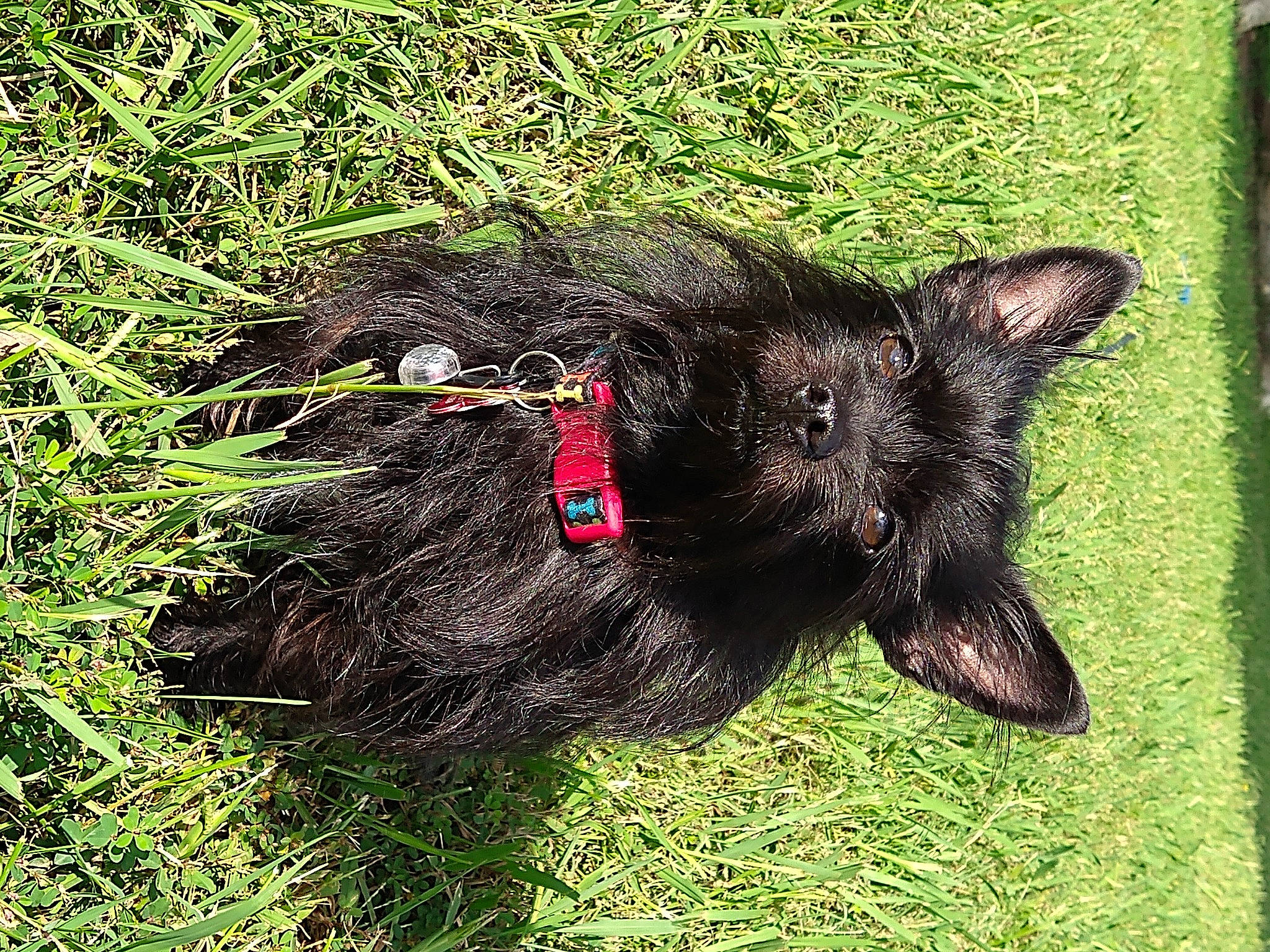 Boo Bear Wigglebottom