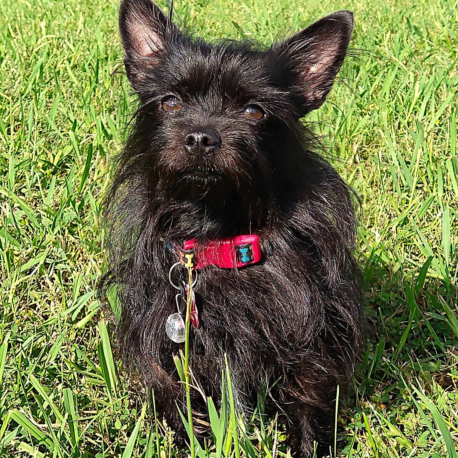 Boo Bear Wigglebottom