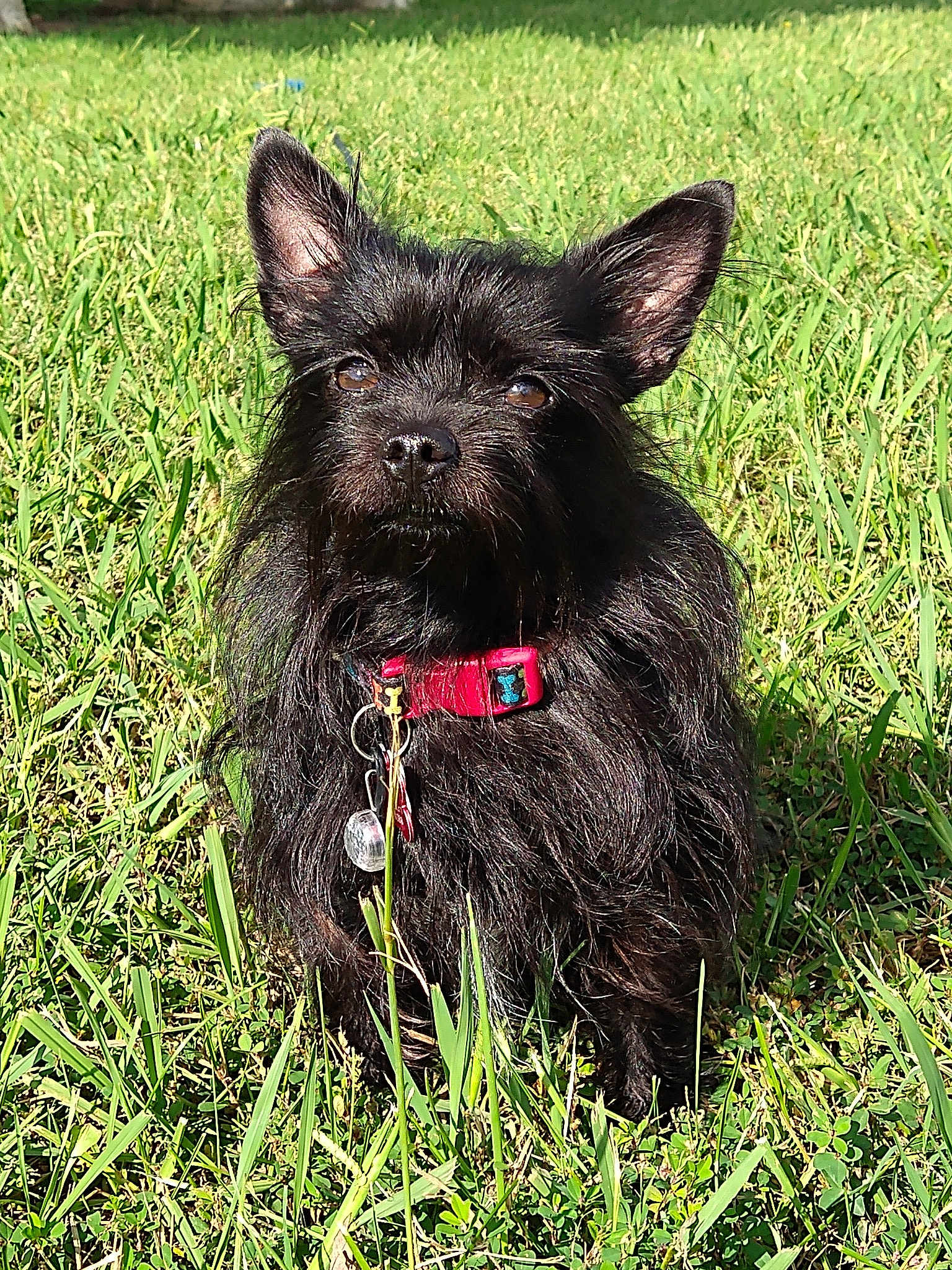 Boo Bear Wigglebottom