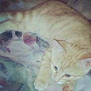 Mia is registered to the contest to win money with this photo: