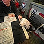 black_clothing, casual, chair, curious, dog, evening, looking, man, menu, night, outdoor, patriotic_bunting, person, puppy, railing, restaurant, seated, table, white_dog, wooden_floor