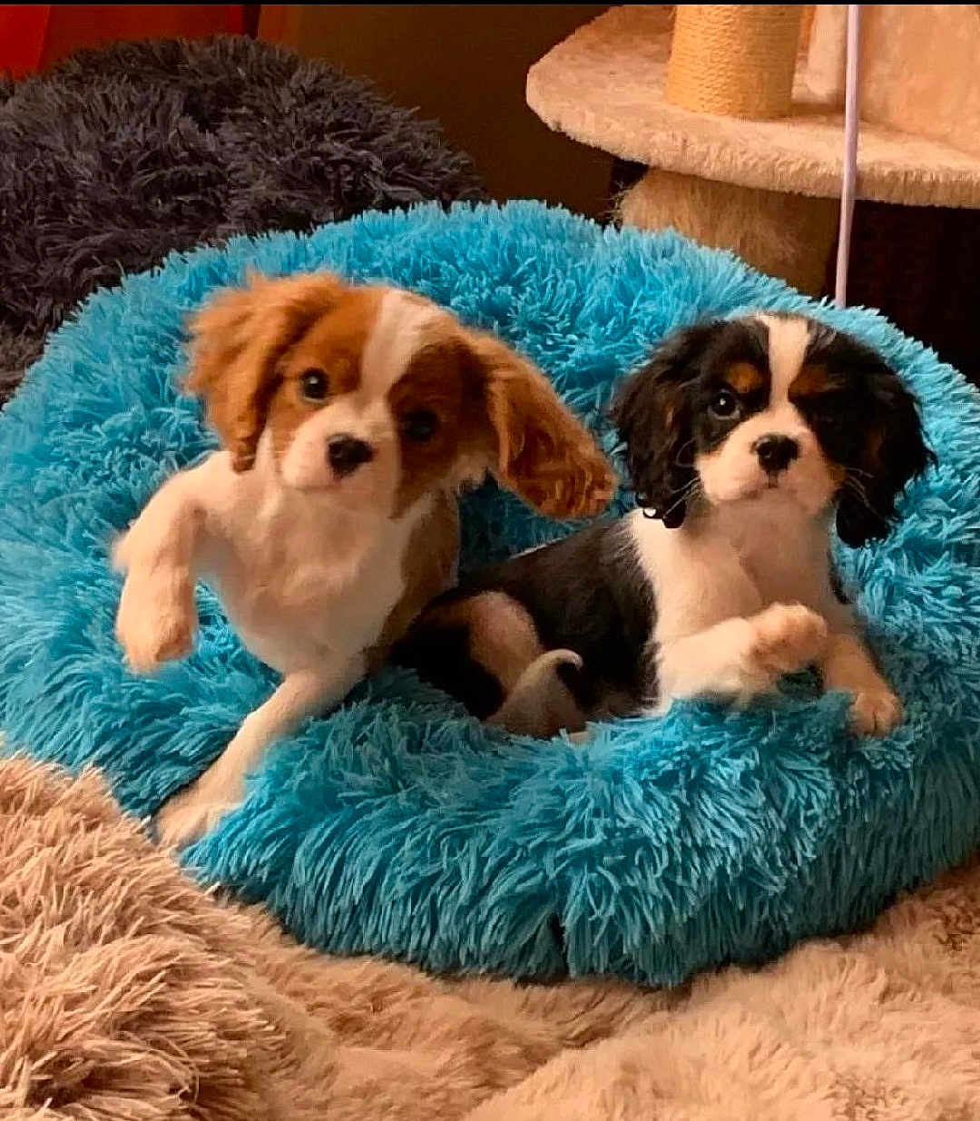 Undy Et Shirley