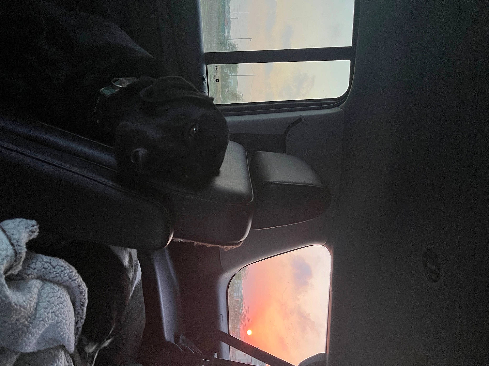 Bayley is registered to the contest to win money with this photo: auto_part, automotive_design, automotive_exterior, automotive_lighting, automotive_window_part, car, car_seat, car_seat_cover, family_car, fixture, gas, head_restraint, mode_of_transport, motor_vehicle, personal_luxury_car, steering_part, tints_and_shades, vehicle, vehicle_door, window