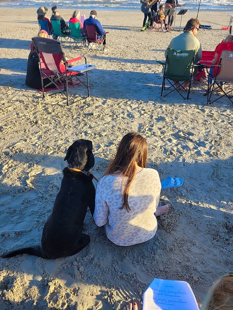 Bayley is registered to the contest to win money with this photo: beach, black, blue, body_of_water, fun, human, leisure, light, morning, natural_environment, outdoor_furniture, people_on_beach, photograph, public_space, shade, sunlight, sunlounger, travel, umbrella, vertebrate