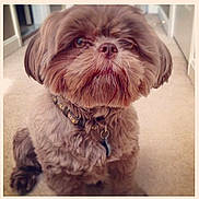 Cody is registered to the contest to win money with this photo: