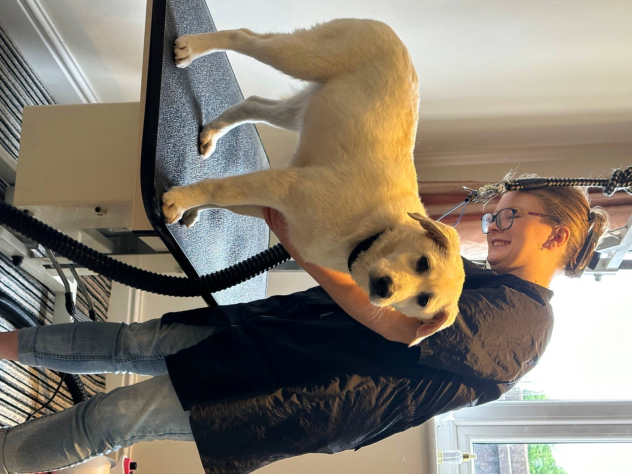 Winnie is registered to the contest to win money with this photo: carnivore, comfort, companion_dog, dog_breed, elbow, fawn, felidae, fur, human_leg, snout, sporting_group, tail, wing, wood, working_animal