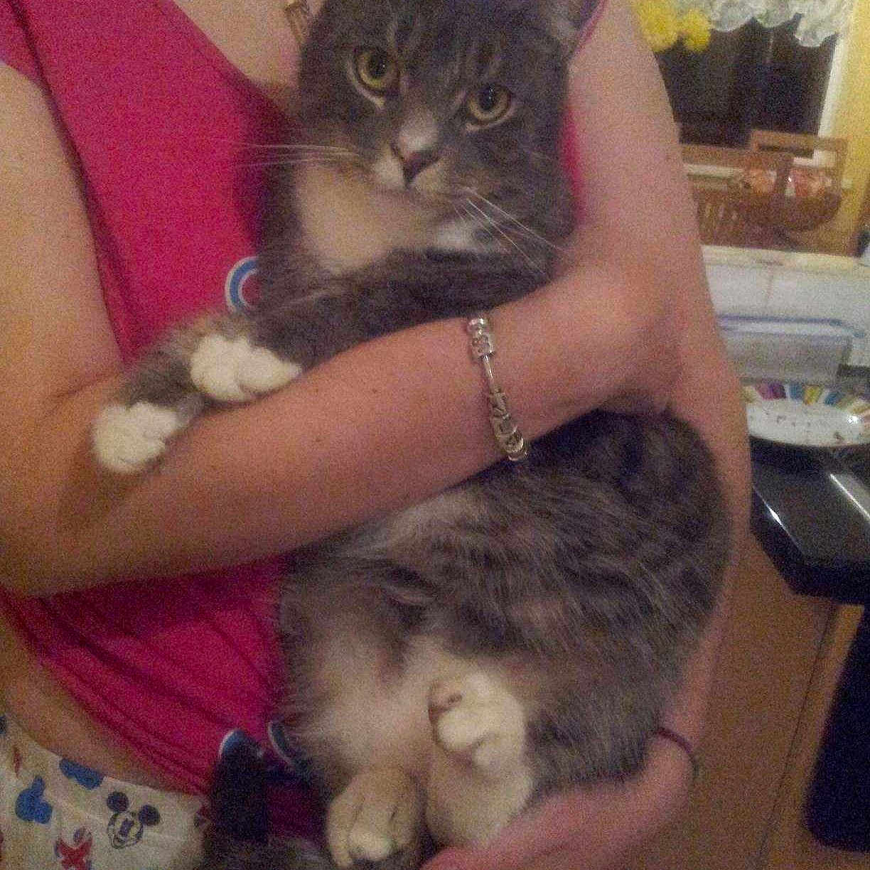 George joined the competition — help win amazing prizes!