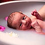 Aurore participe au concours pour gagner de l'argent avec cette photo : baby, newborn, bath, milky_water, flower, pink_flower, white_flower, hand, skin, face, infant, relaxation, water, cute, portrait, close_up, fresh, soft_light, tender, calm