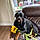 Bailey