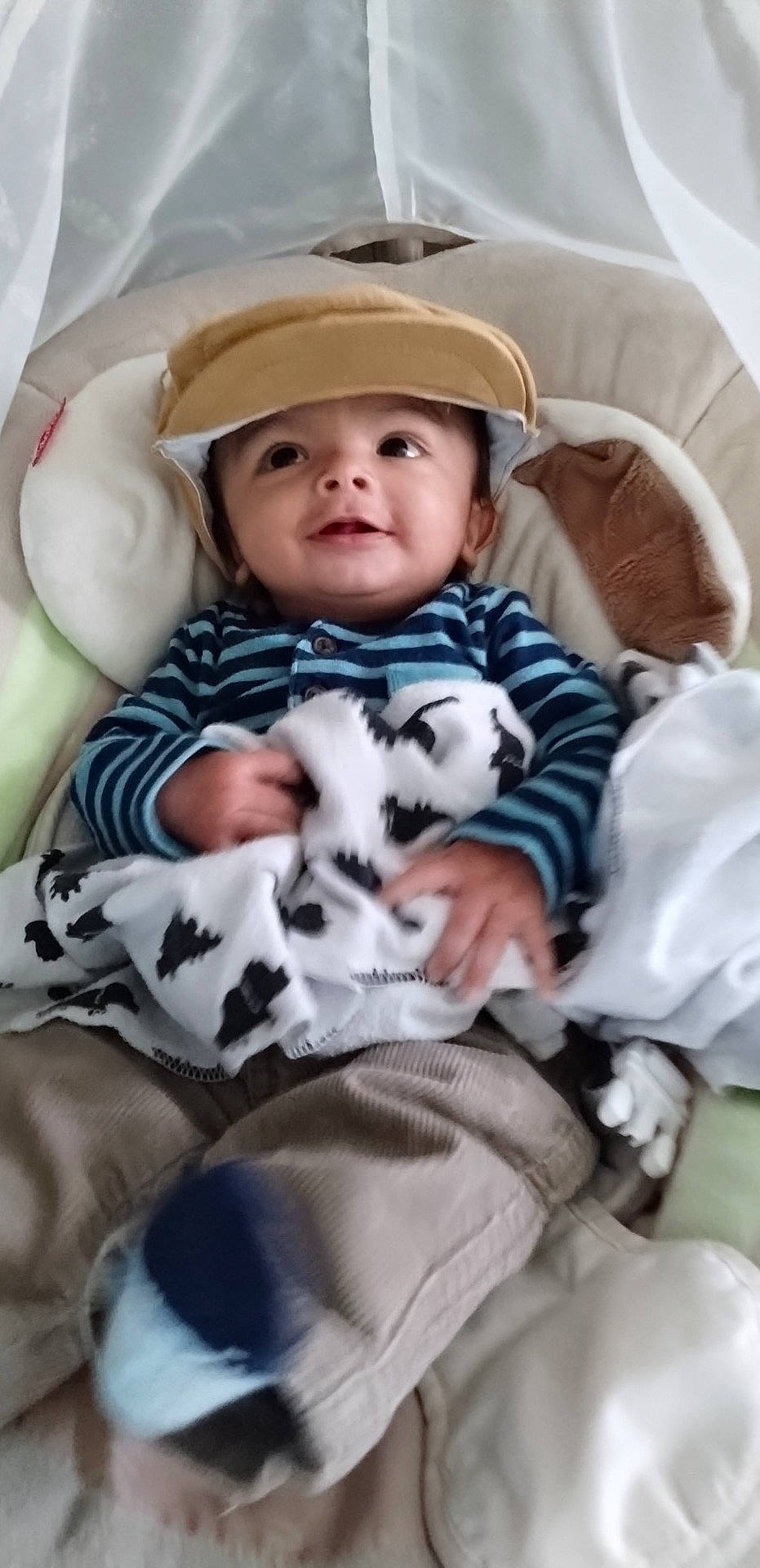 Cyrus joined the competition — help win amazing prizes! baby, baby_products, baby_toddler_clothing, cap, carnivore, child, comfort, companion_dog, face, felidae, fur, grass, hand, hat, headwear, lap, linens, pattern, person, sitting