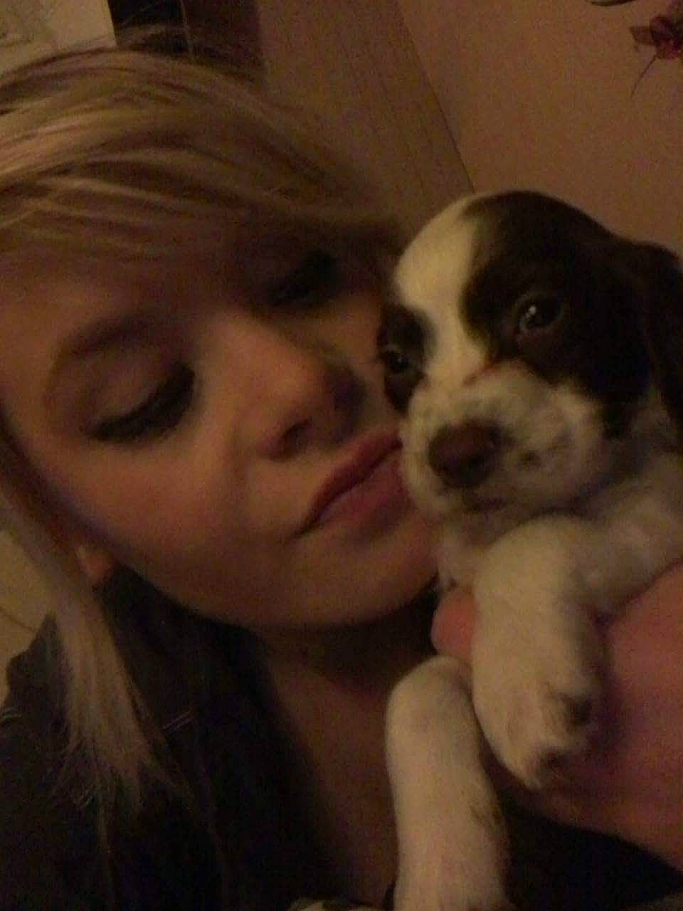 Theo joined the competition — help win amazing prizes! carnivoran, companion_dog, dog, dog_breed, dog_breed_group, dog_like_mammal, nose, person, puppy, puppy_love, snout, sporting_group, vertebrate