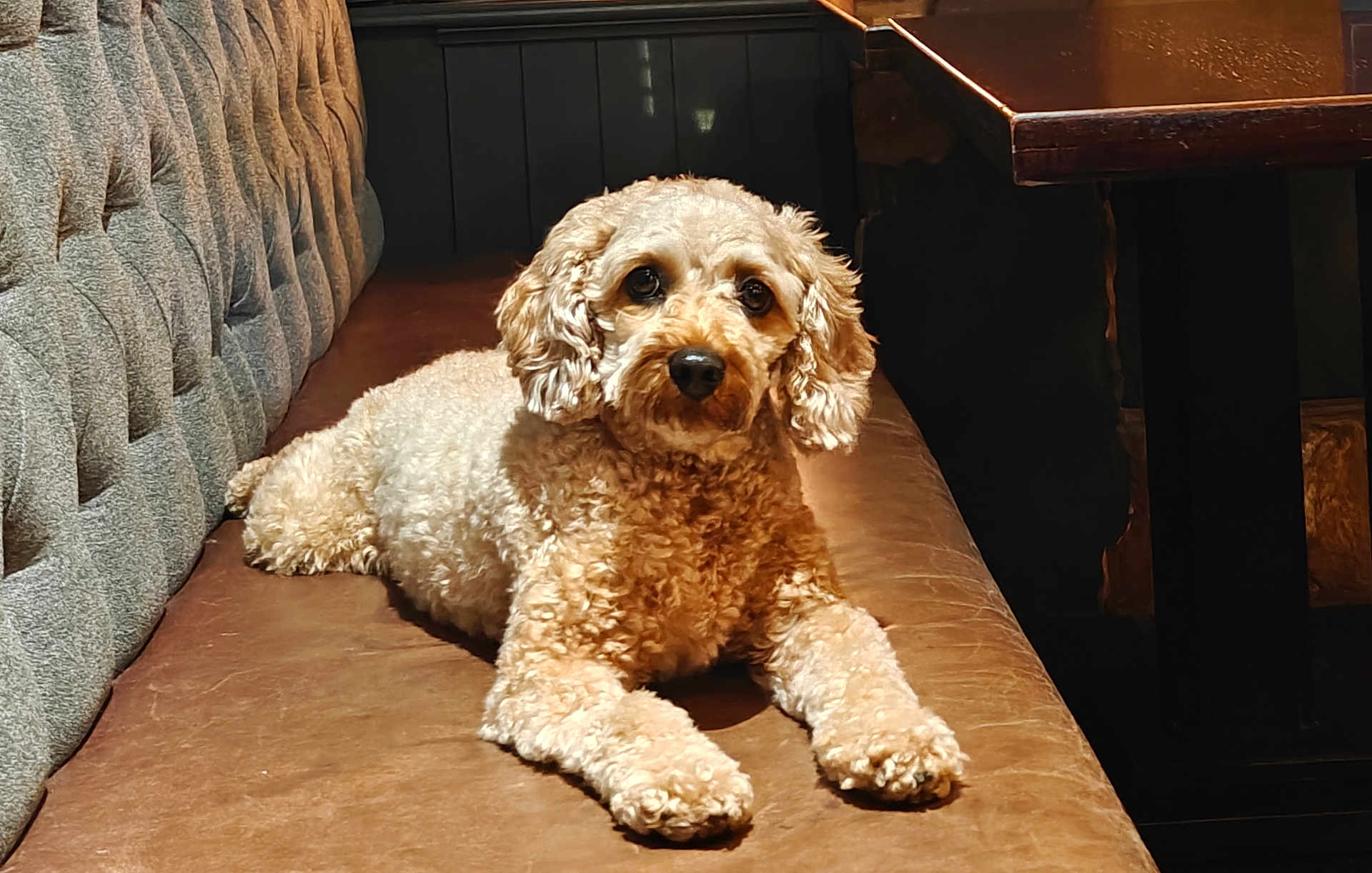 Coco